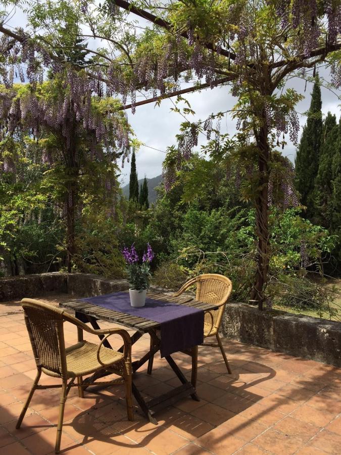 Finca Can Trui Teresa ポレンサ エクステリア 写真